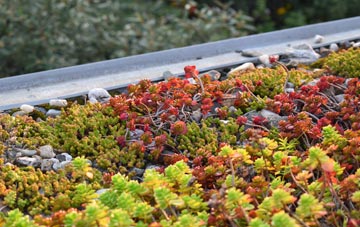 the cost of Smockington green roof installation
